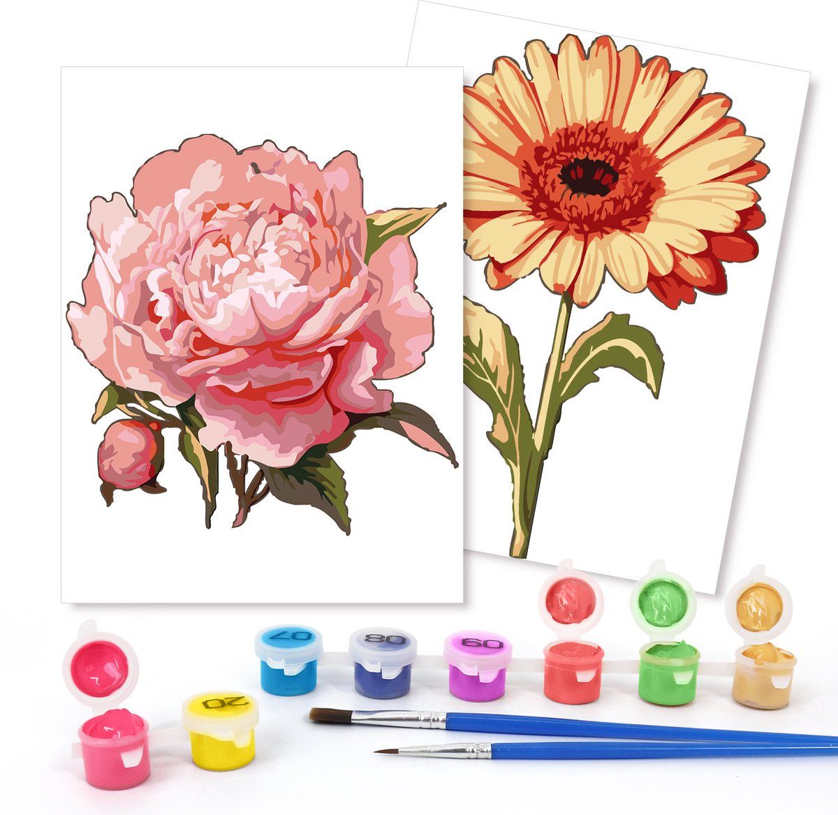 Rubye® Schilderen Op Nummer - Roos&Zonnebloem - Inclusief Verf En Penselen - 15x20cm (2 Stuks)