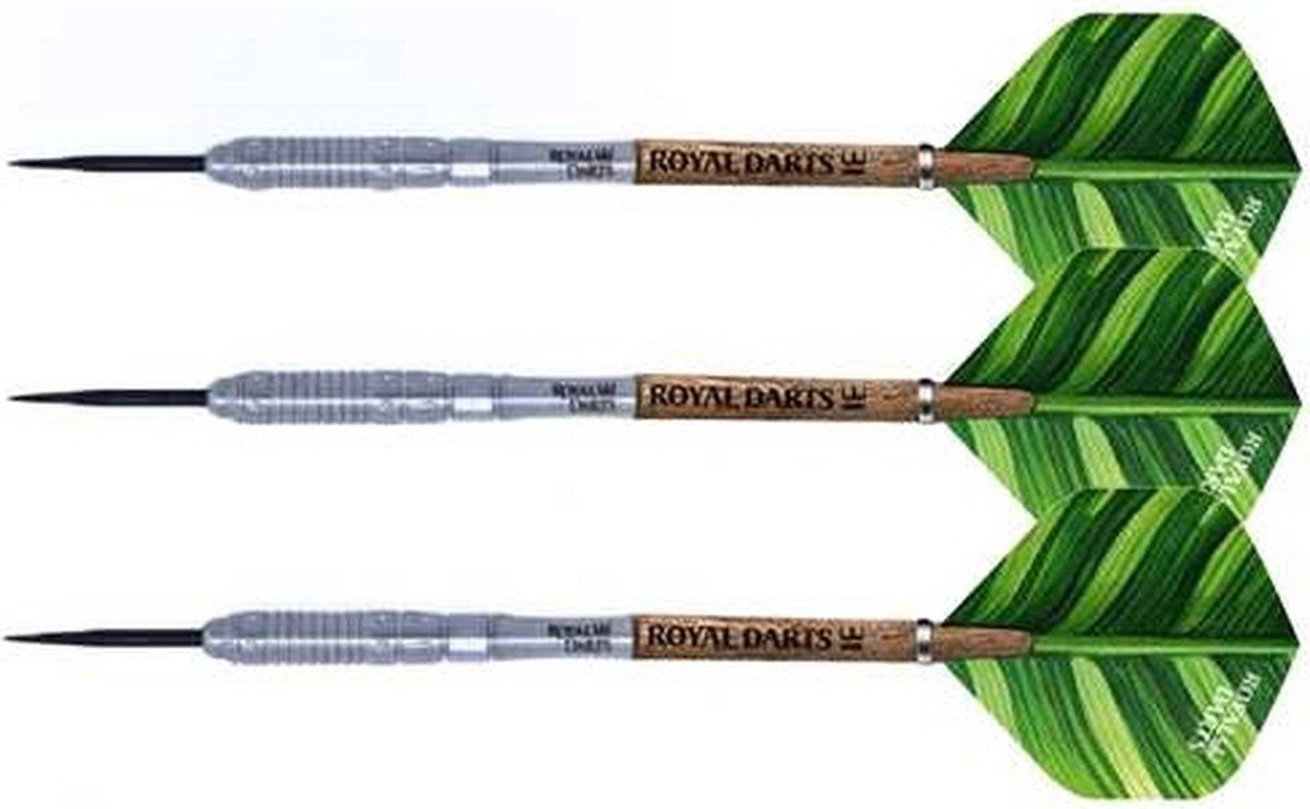 Royal Darts Darts New King 24gr. Green Line Nt 90
