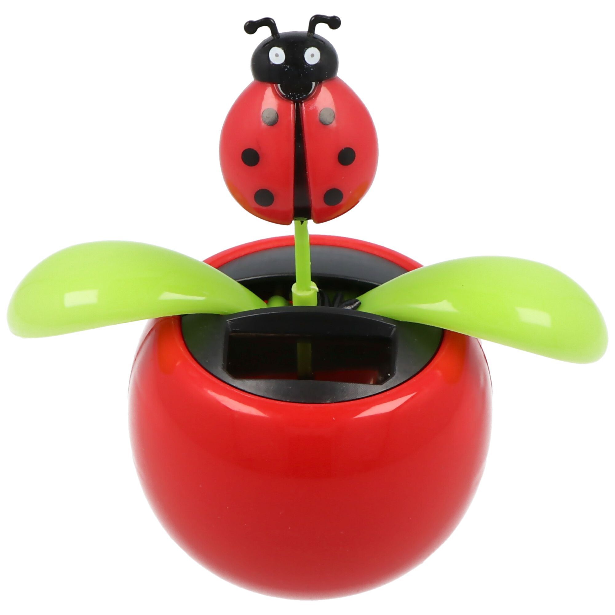 Solar Wiggle Flower - Potplant - Met lieveheersbeestje