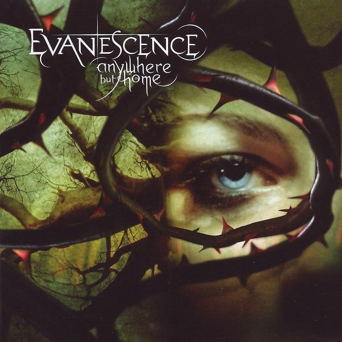 Evanescence - Anywhere But Home - Livealbum - Cd