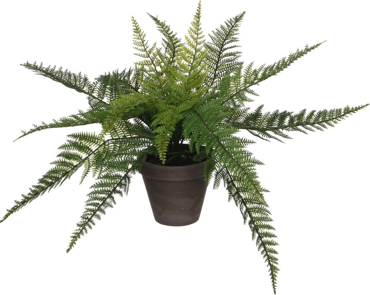 Mica Decorations Stan - Kunstplant Varen - H38 XØ50 Cm - Groen