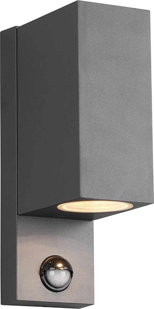 Trio Roya - Wandlamp - IP44 - Antraciet