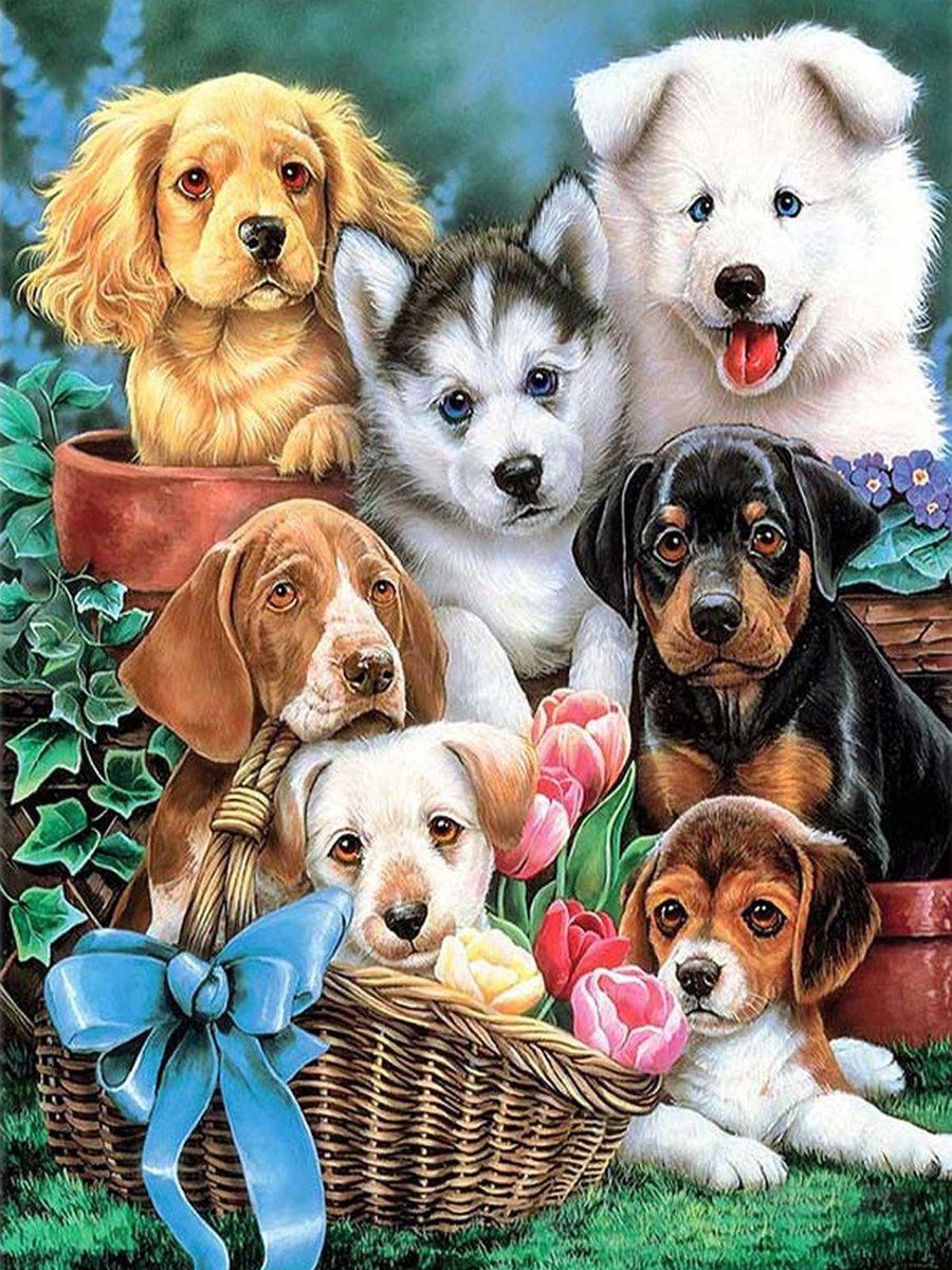 Schattige Puppy's