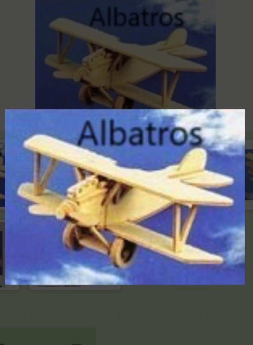 T & F Creations Albatros 402 - Vliegtuig Bouwpakket - Hout - 18 x 26 cm