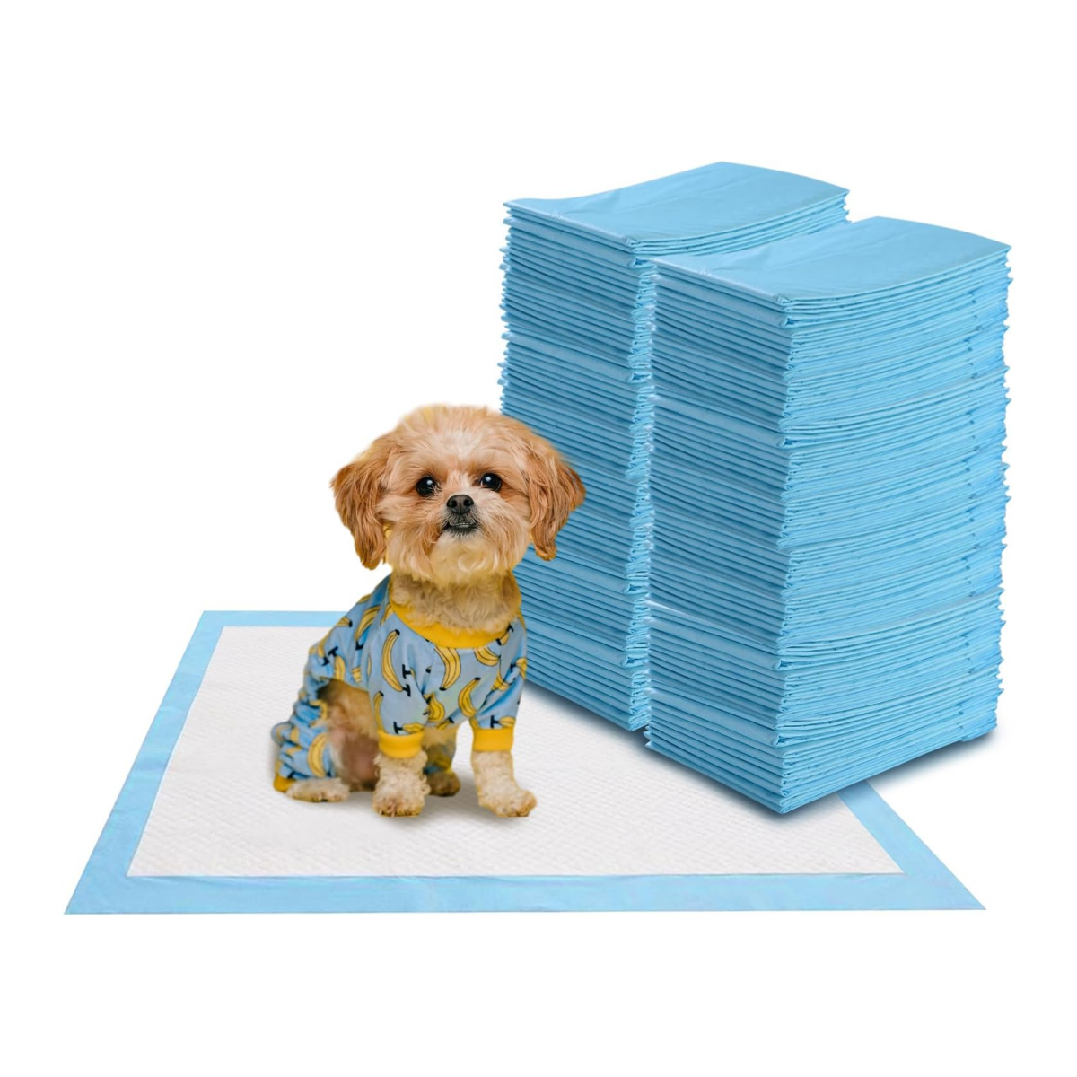 Coast Plasmatjes voor Honden - 100 Stuks - Lekvrij - 5 Laags - 60 x 60 cm