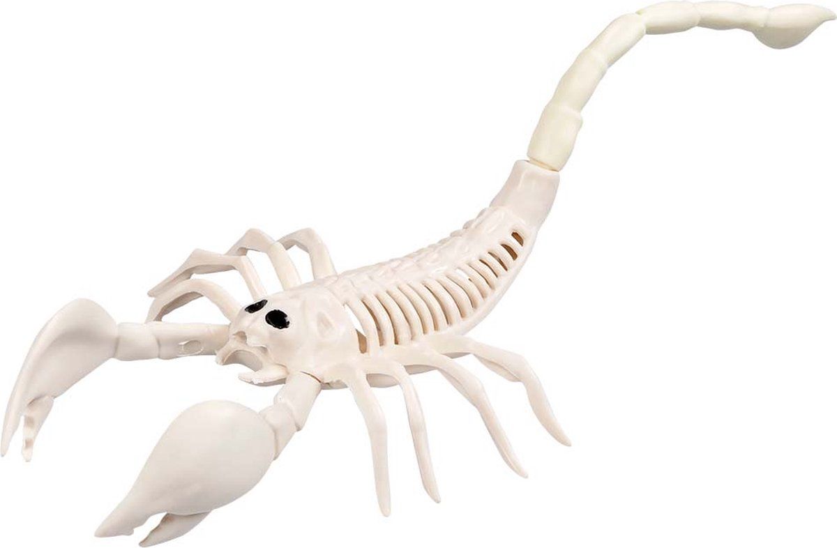 Boland - Dierenskelet - 5 verschillende skeletten - Ivoor