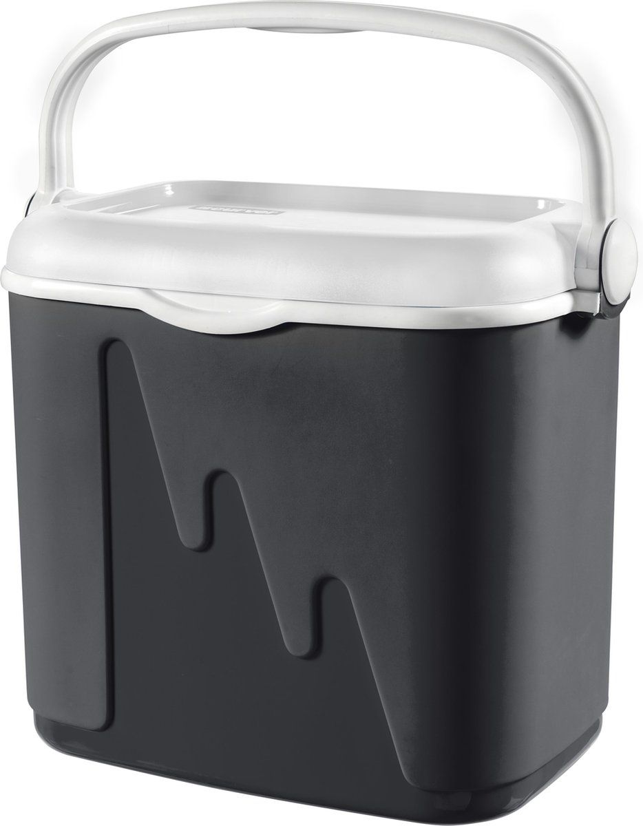 Curver Koelbox - 32L - Antraciet
