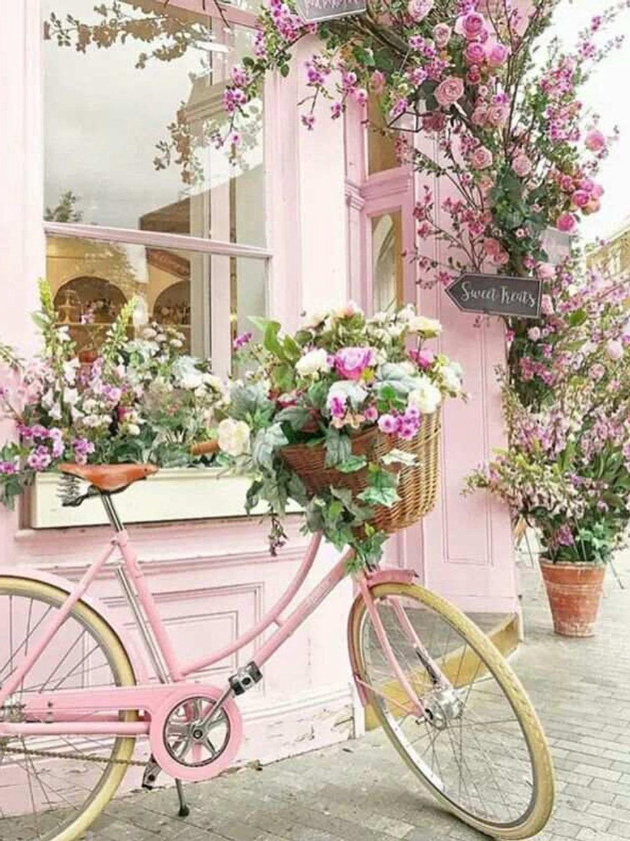 Bloemen Fiets