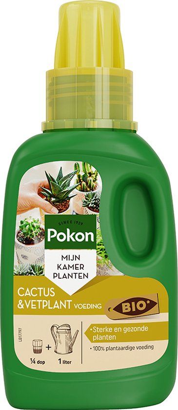 Pokon Bio Cactus & Vetplant voeding - 250ml - Plantaardige meststof