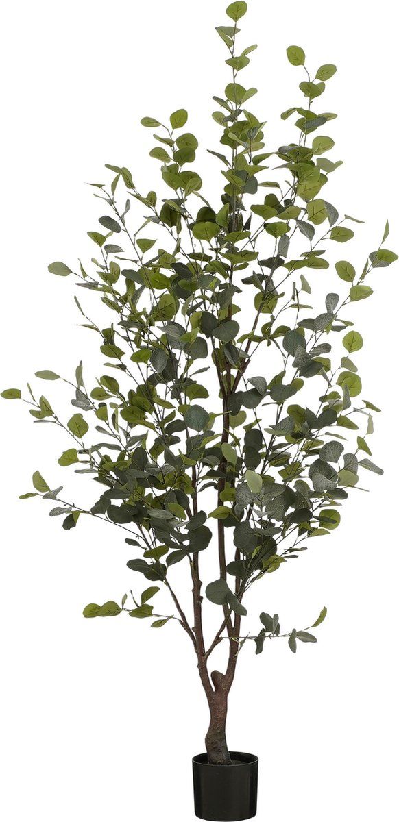 Mica Decorations Kunstplant Eucalyptusboom In Pot - H180 XØ80 Cm - Groen