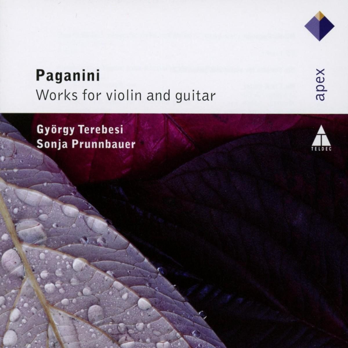 Paga:Works For Violin&Guitar - CD - Klassieke muziek - (2 stuks)