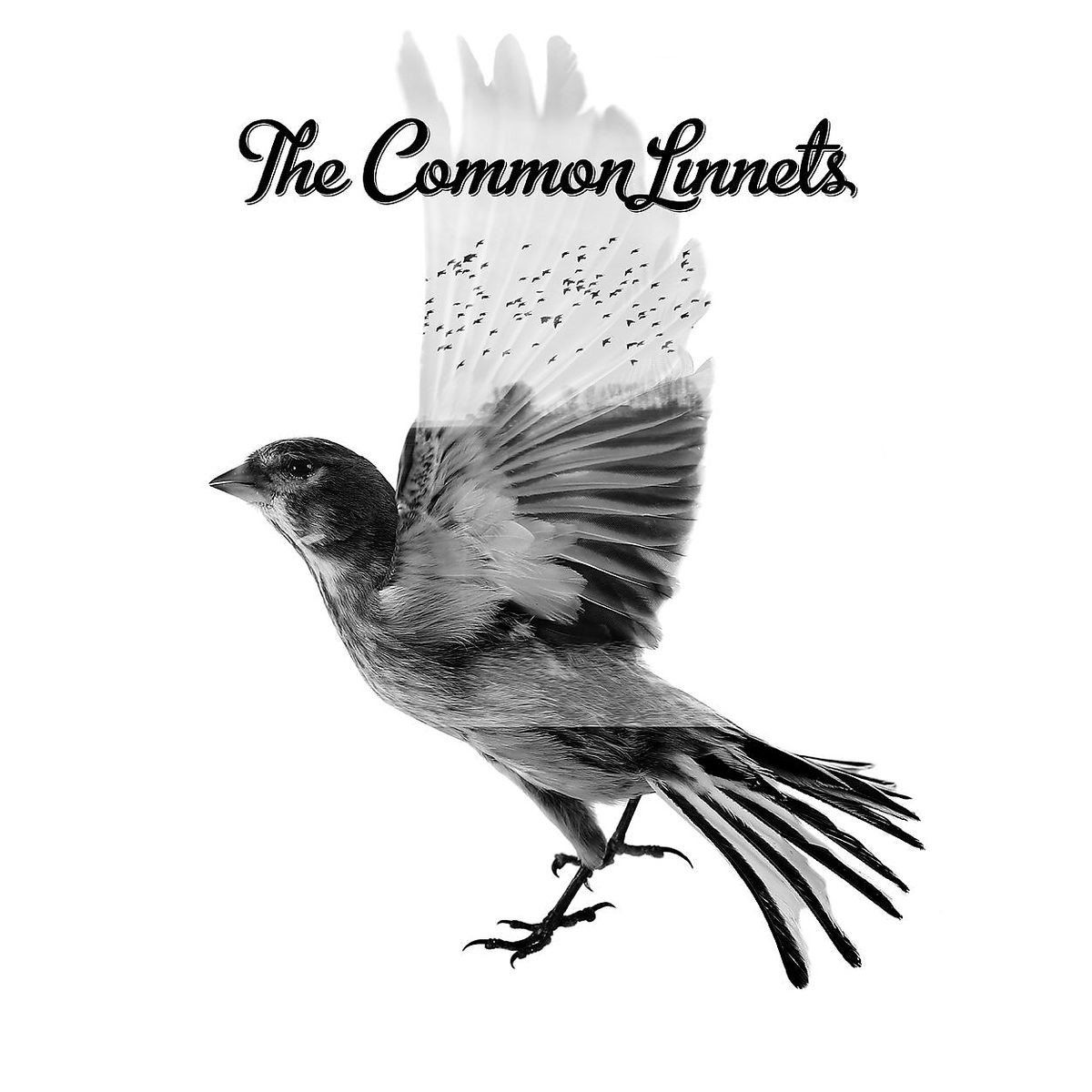 The Common Linnets - The Common Linnets - Cd - Country Pop