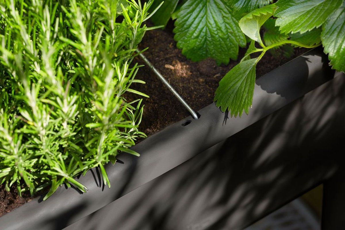 Elho Noa Kweektafel 80 - Kweekbak op Poten met Deksel - Waterreservoir -Ø 78.5 x H 34.2 cm - Living black