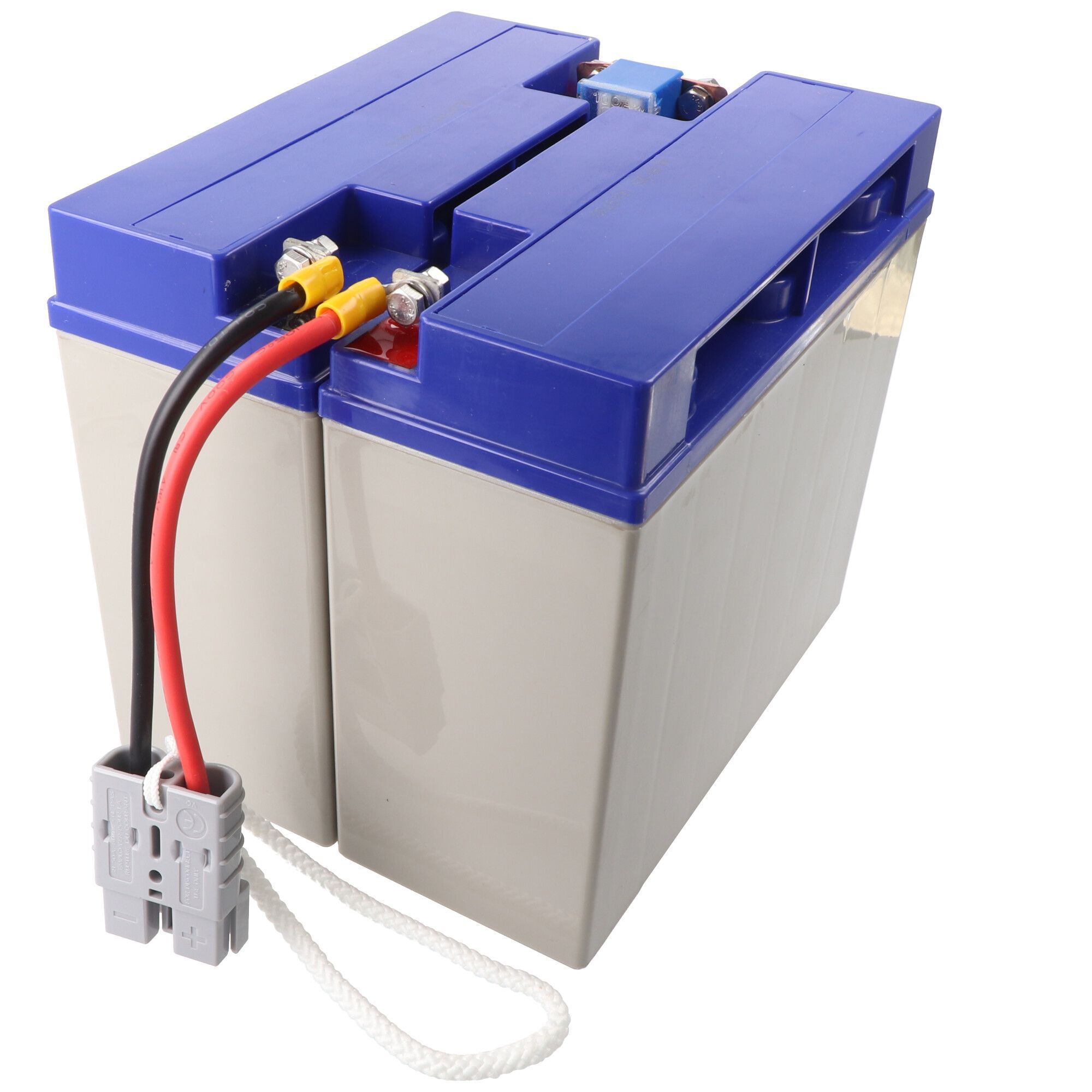 APC RBC7 - Vervangingsbatterij - 2x 12V 18Ah - Plug & Play (2 stuks)