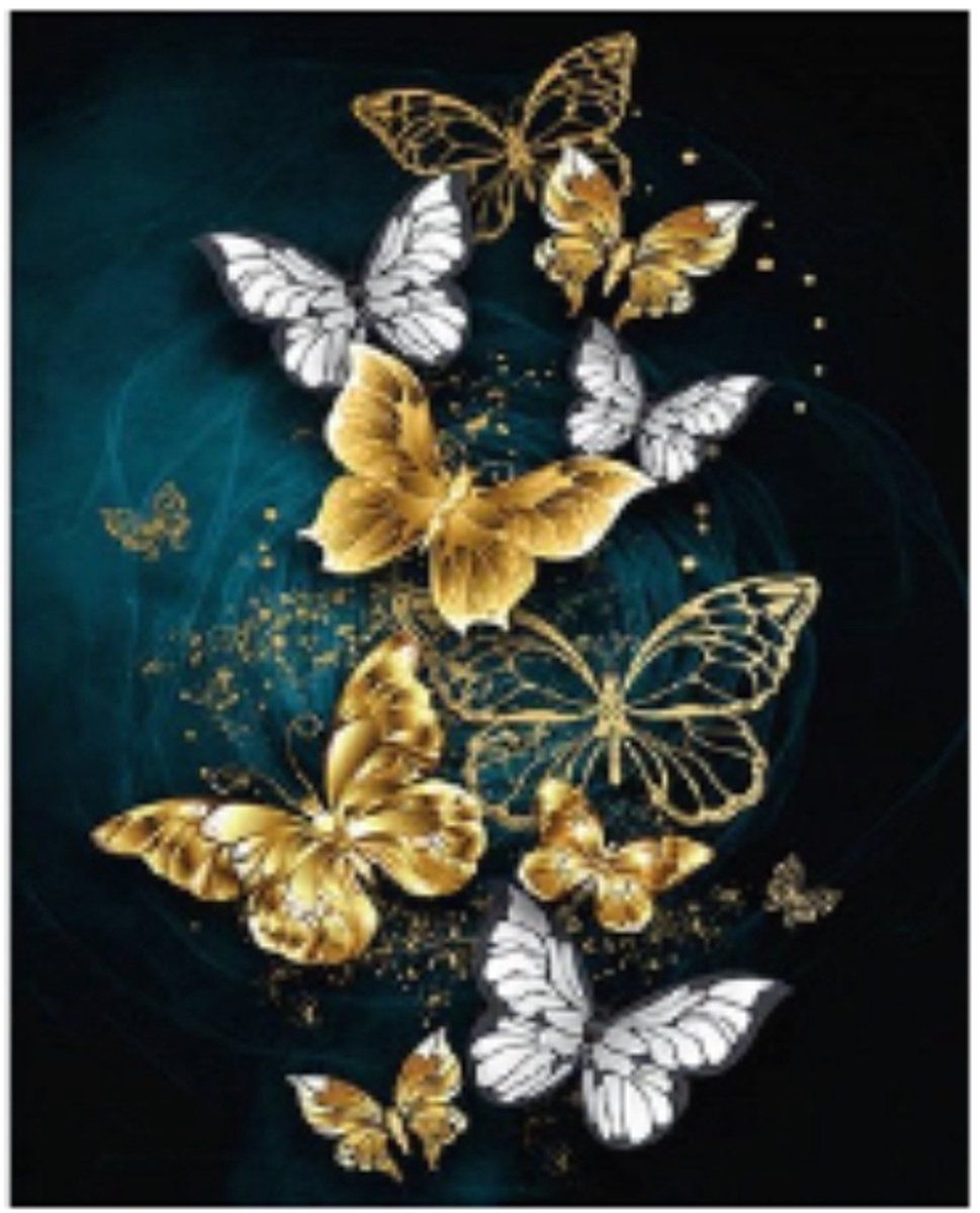 Rubye® Diamond Painting - Vlinders - 30x40cm - Volwassenen En Kinderen