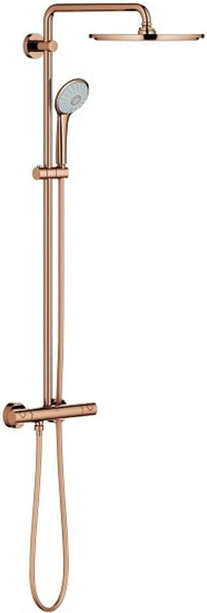 Bruin, Brons, Warm sunset