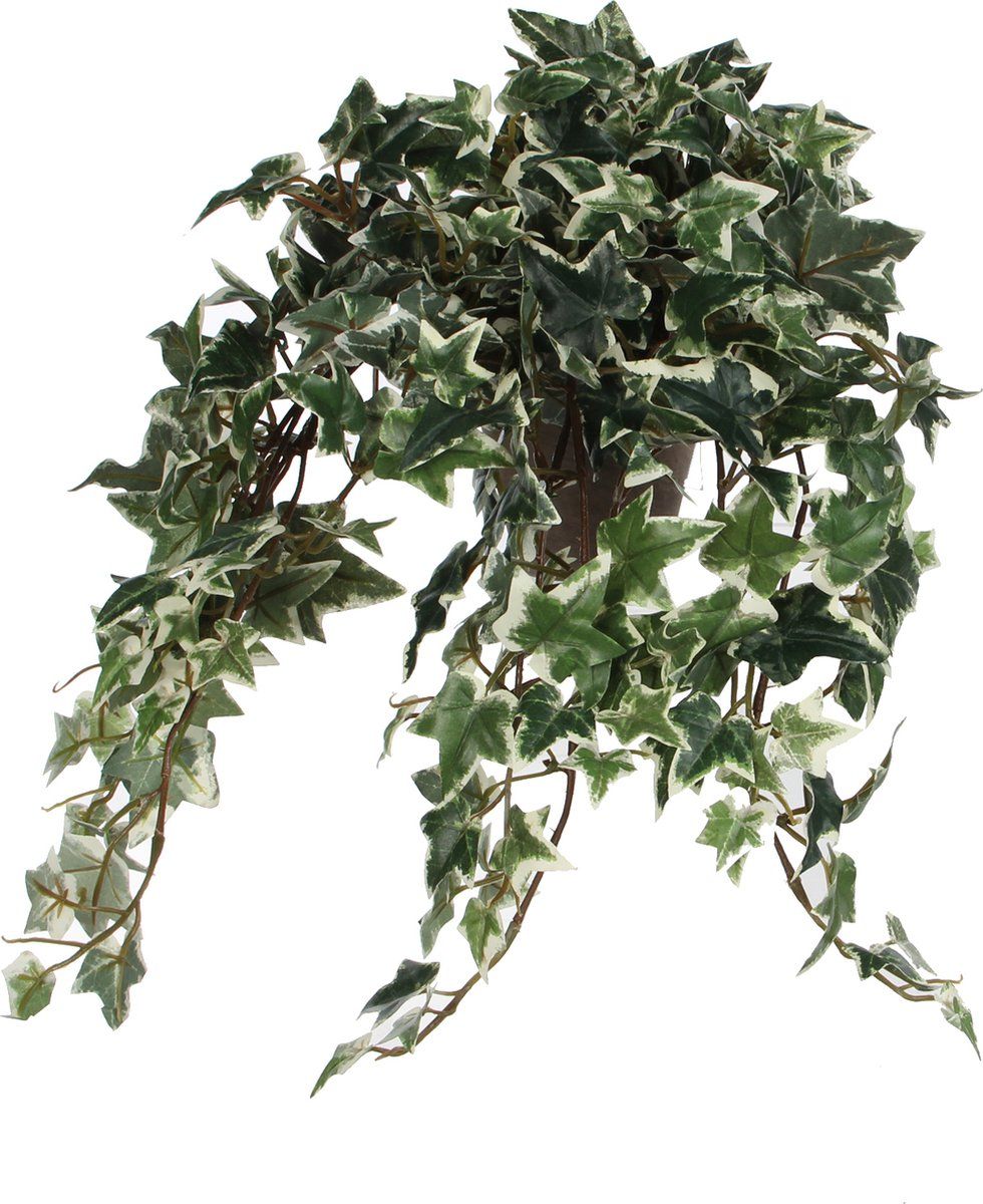 Mica Decorations Hedera - Kunstplant In Keramieken Pot - L45 X B25 X H25 Cm - Groen