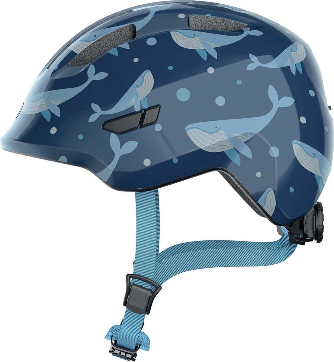 Blue Whale