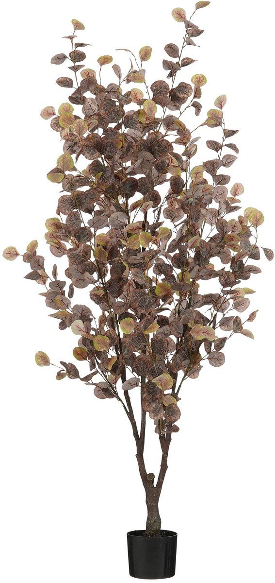 Mica Decorations Eucalyptus - Kunstplant - H180 XØ80 Cm - Brons