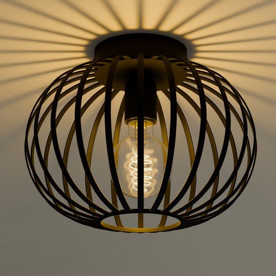 Nolt Arcadia - Plafondlamp E27 - Industrieel - ⌀ 25cm - Zwart