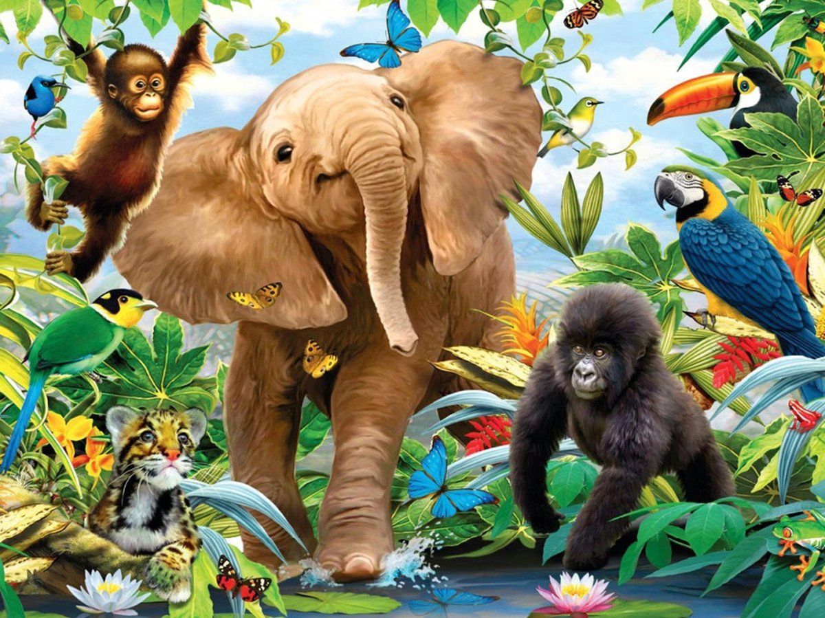 Jungle Dieren