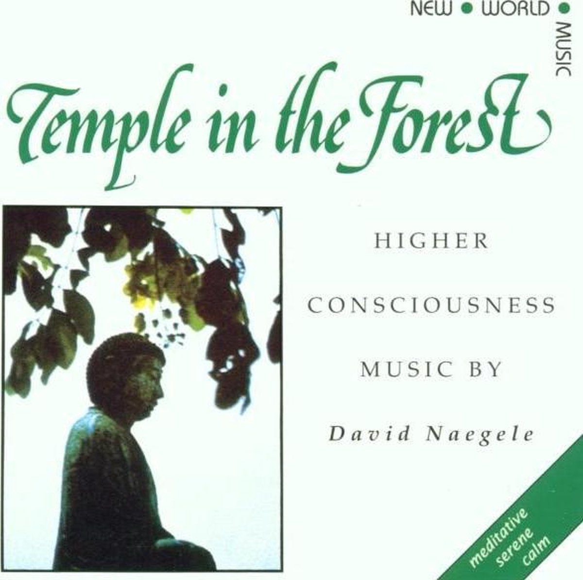 David Naegele - Cd Album - Temple In The Forest (A) En (B) - Pop (1 Disk)