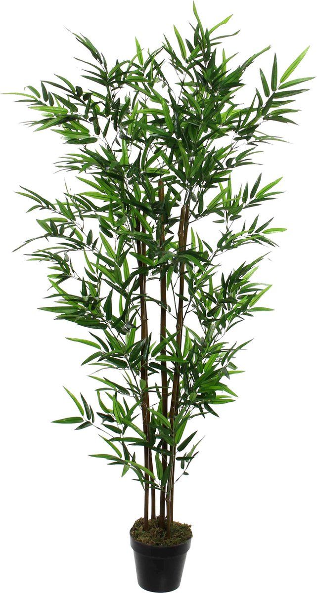 Mica Decorations Bamboe Kunstplant - 120 X 75 Cm - Voor Binnen - Groen