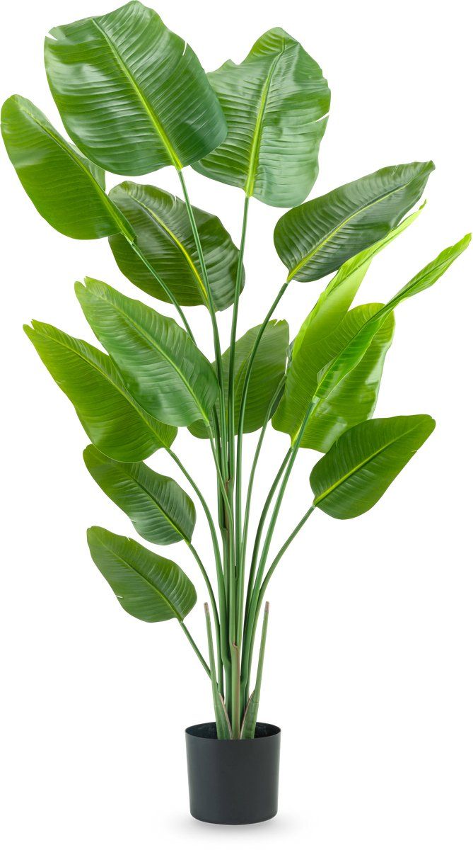 Greenmoods Kunstplant Strelitzia - Kunstplant - 180 Cm - Zijde