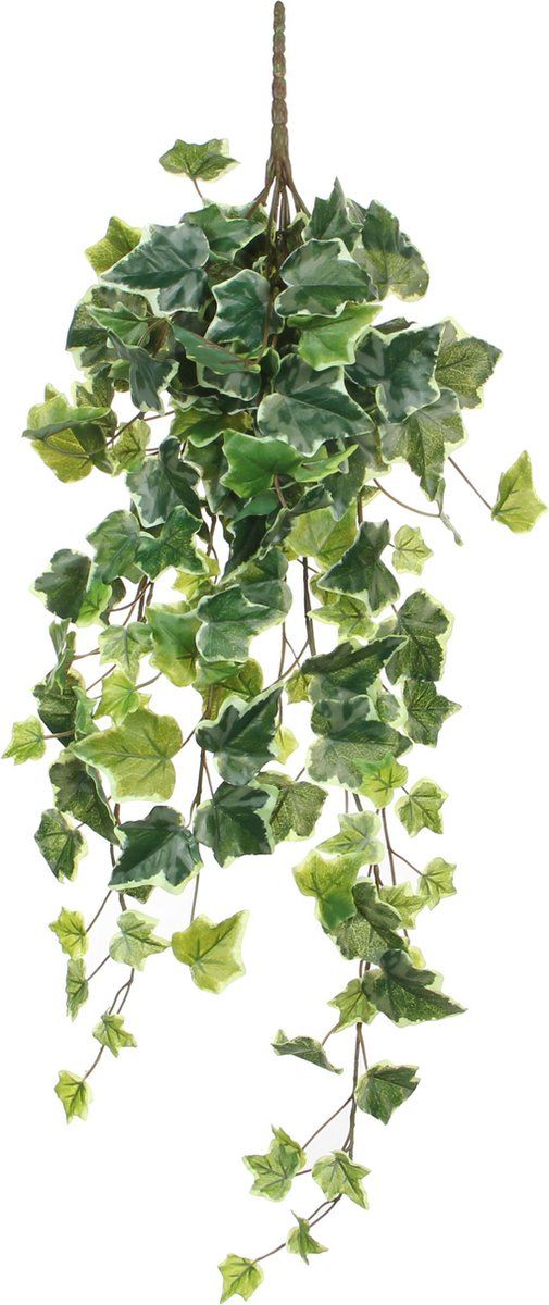 Mica Decorations Hedera - Kunst Hangplant - H71 Cm - Groen Bont