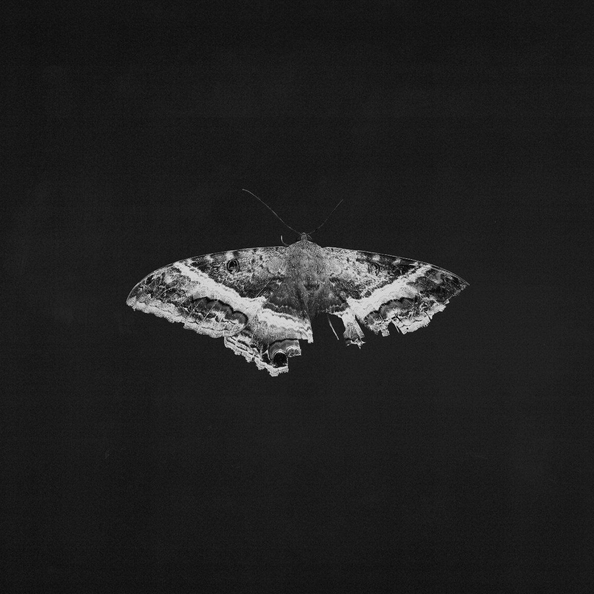 Kendrick Lamar - To Pimp A Butterfly - 10th Anniversary Edition (2 LP)