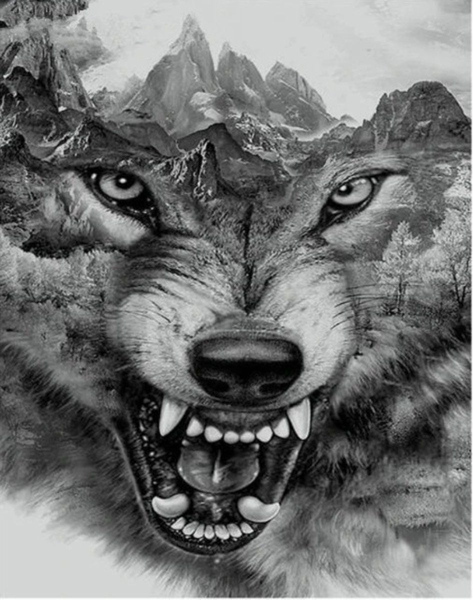 Benelux Painting de Luxe Diamond Painting De Luxe 30x40 Cm -Wolf