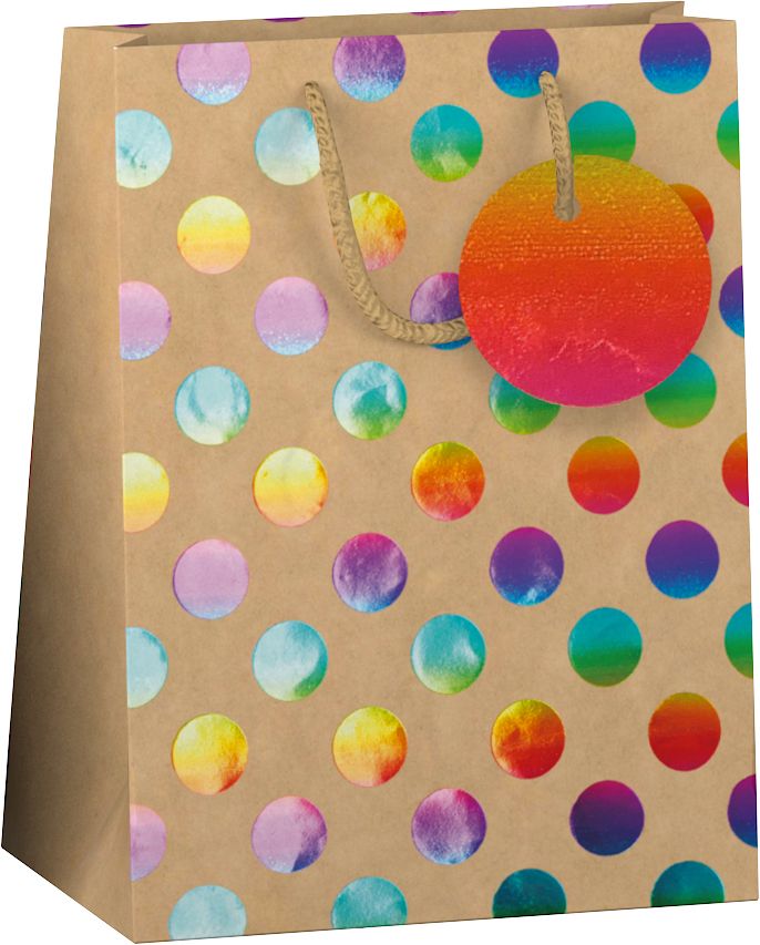 Merkloos Papieren Cadeau Tas M Kraft Rainbow