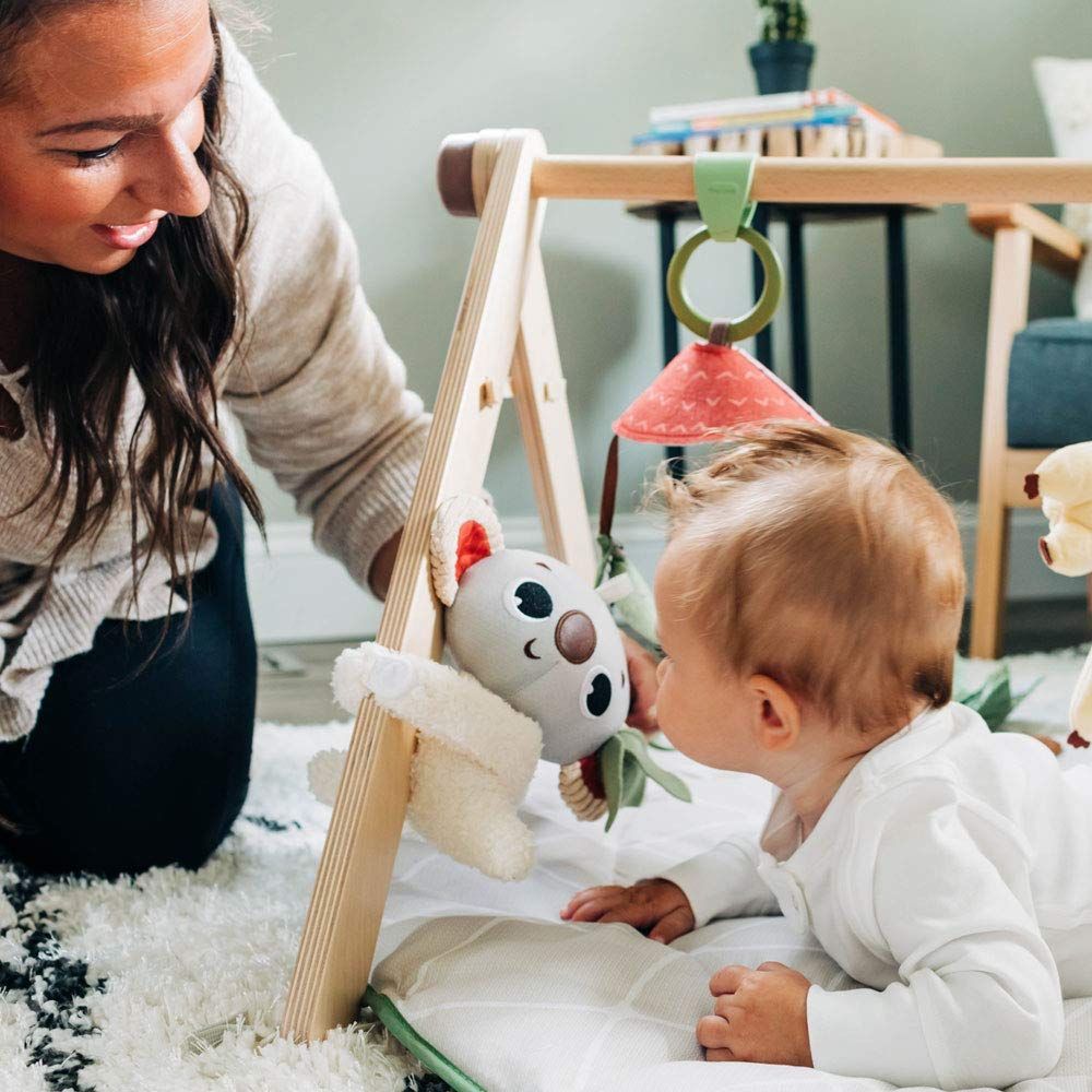 Tiny Love Boho Chic Luxe - Developmental Gymini - 20 Speelactiviteiten - Met Houten Boog