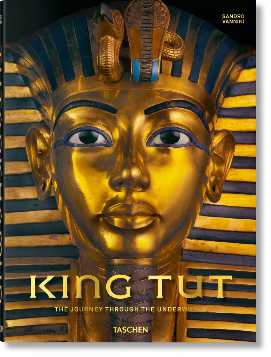 Unknown King Tut - De Reis Door De Onderwereld - Hardcover - 392 Pagina's