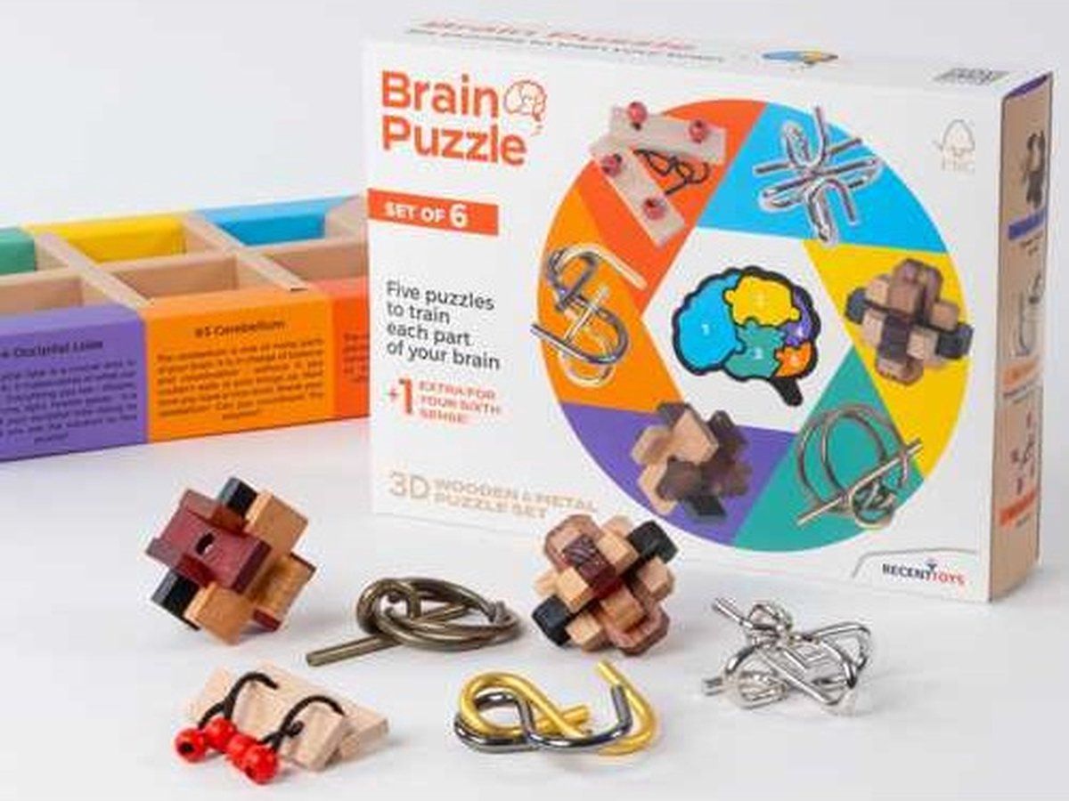 Recent Toys Brainpuzzel - Set van 6 breinbrekende puzzels - Meerkleurig (set van 6)