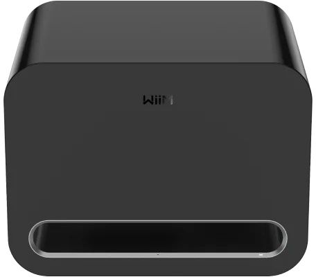 WiiM Sub Pro - Subwoofer - 250W RMS - Zwart